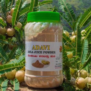 Amla Juice Powder